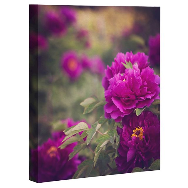 Deny Designs Catherine Mcdonald Peony Garden At Dayan Pagoda Art Canvas: Modern Style, Digital Botanical Unframed Wall Decor