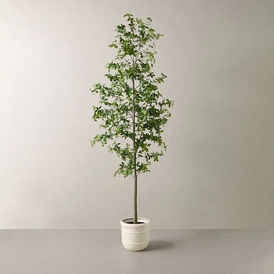 8 Faux Gypsophila Leaf Potted Tree - Hearth & Hand with Magnolia