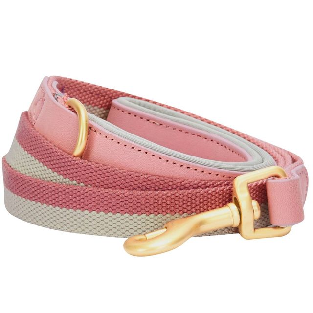 Blueberry Pet Polyester and Leather Dog Leash - 6ft x 1