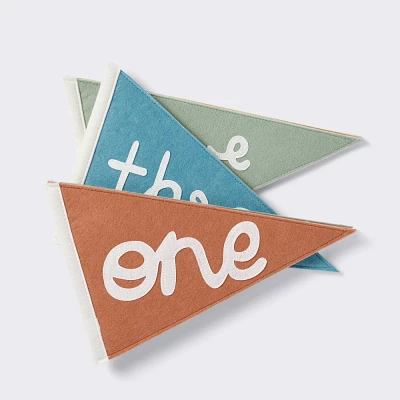 Milestone Felt Pennants - Multi Color - Cloud Island