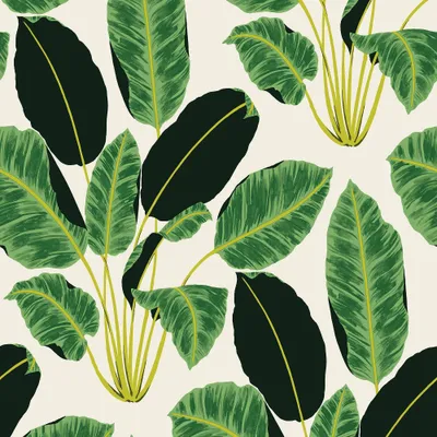 Tempaper & Co. x Genevieve Gorder Hojas Cubanas Removable Peel and Stick Wallpaper, Rich Emerald, 56. sq. ft.