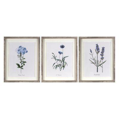 (Set of 3) 16x20 Framed Vintage Botanicals Decorative Wall Art Natural/Blue - Threshold