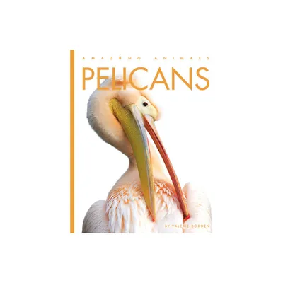 Pelicans - (Amazing Animals) by Valerie Bodden (Paperback)