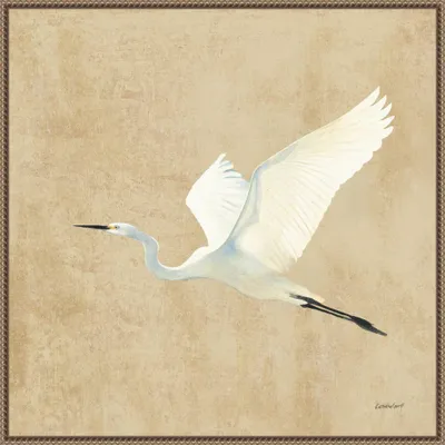 30x30 Egret Alighting II by Kathrine Lovell Framed Canvas Wall Art Print Bronze - Amanti Art: Modern Style, Animal Subject