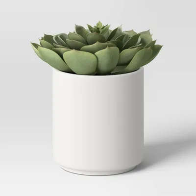 Artificial Single Succulent Plant Sage - Threshold: Indoor Echeveria, Faux Soil, Stoneware Pot