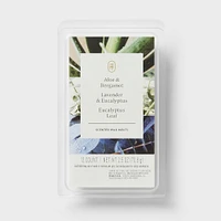 12ct Aloe and Bergamot, Lavender and Eucalyptus, Eucalyptus Leaf Wax Melts - Threshold