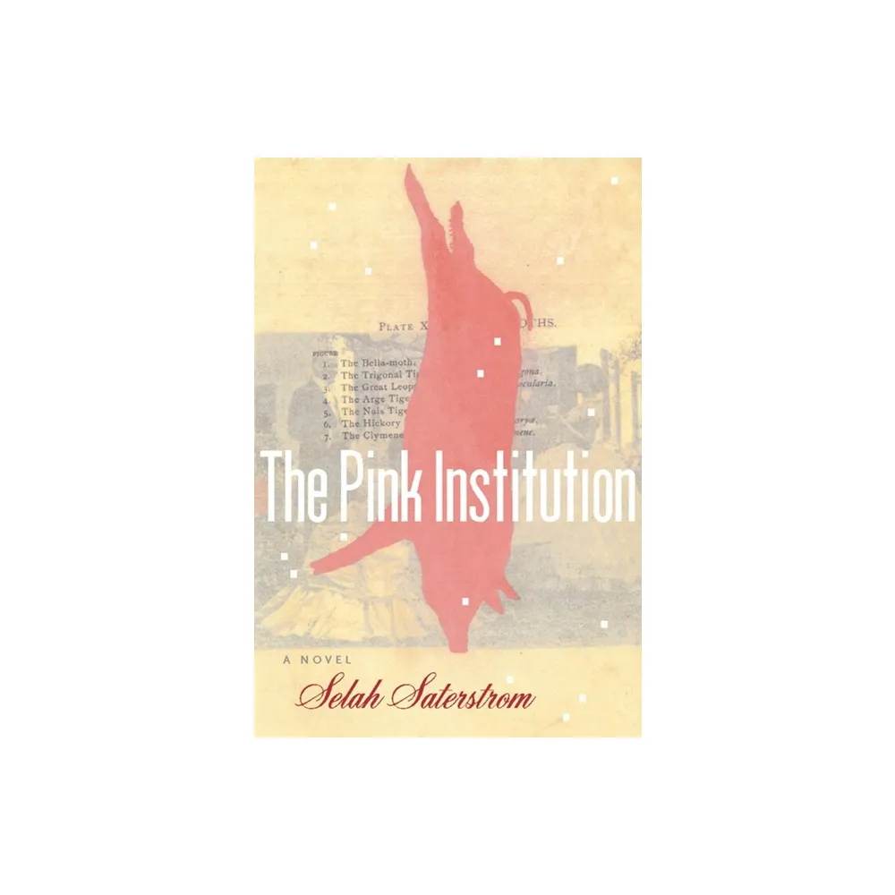 The Pink Institution - by Selah Saterstrom (Paperback)