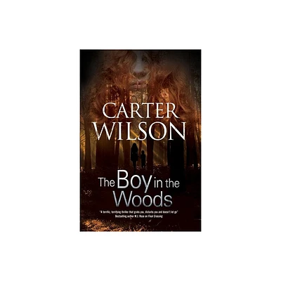 The Boy in the Woods - by Carter Wilson (Paperback)