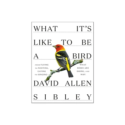 What Its Like to Be a Bird - (Sibley Guides) by David Allen Sibley (Hardcover)