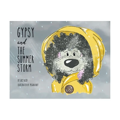 Gypsy and The Summer Storm - by Lucy Reed (Paperback)