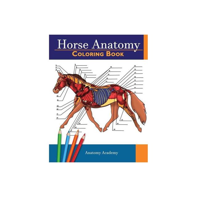 Horse Anatomy Coloring Book - by Anatomy Academy (Paperback)