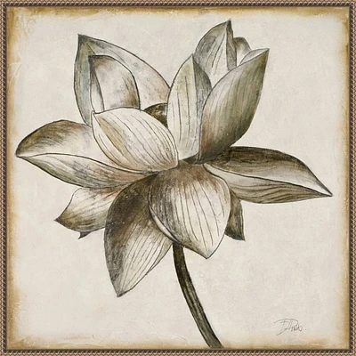 Amanti Art 30x30 Sepia Lotus Blossom I by Patricia Pinto Framed Canvas Wall Art Print: Modern Decor, Polystyrene Frame