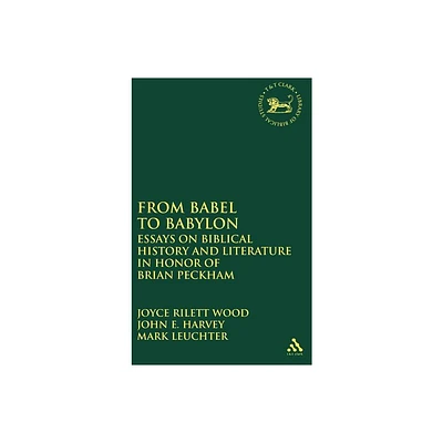 From Babel to Babylon - (Library of Hebrew Bible/Old Testament Studies) (Hardcover)