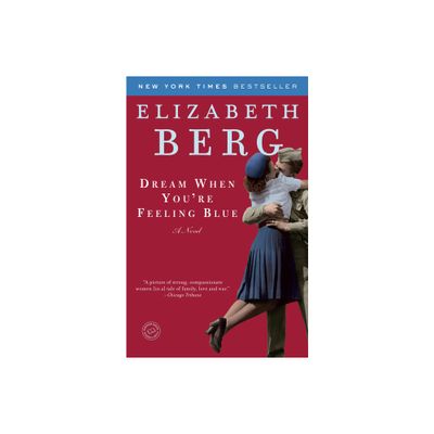 Dream When Youre Feeling Blue - by Elizabeth Berg (Paperback)