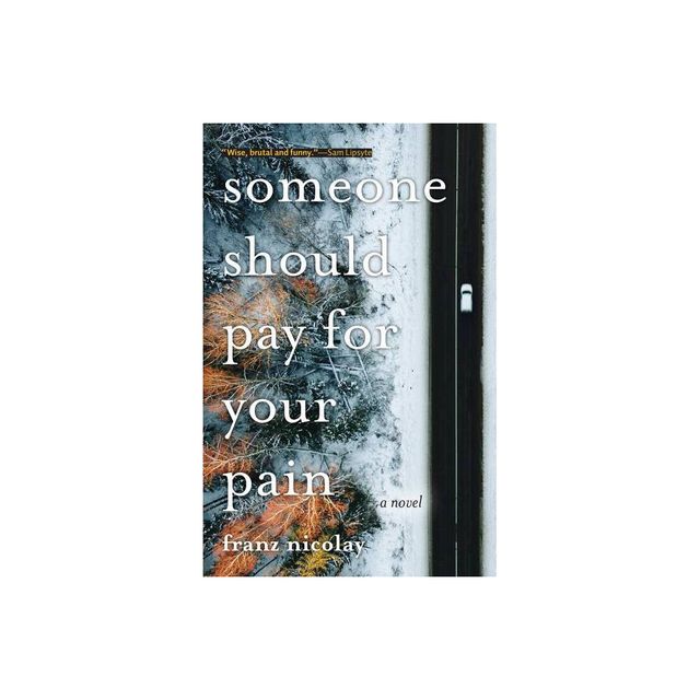 Someone Should Pay for Your Pain - by Franz Nicolay (Paperback)