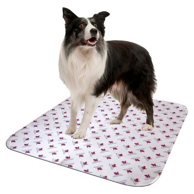 PoochPad Reusable Potty Pad for Mature Dogs