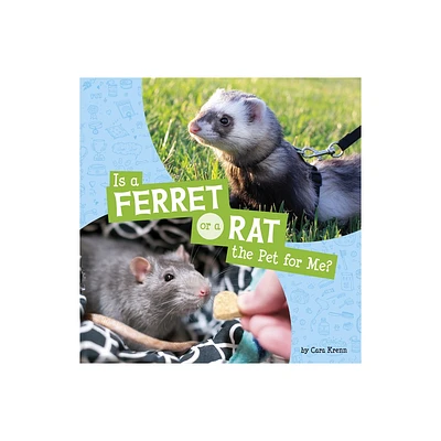 Is a Ferret or a Rat the Pet for Me