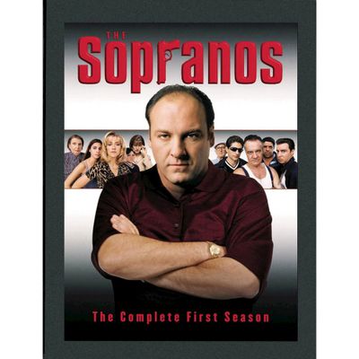 The Sopranos: The Complete First Season (DVD)