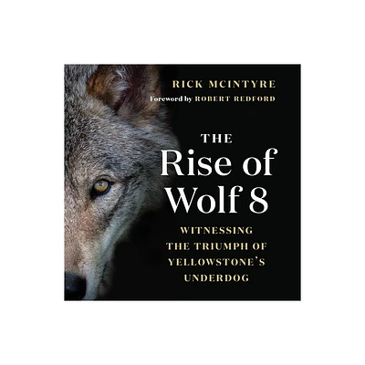 The Rise of Wolf 8 - (The Alpha Wolves of Yellowstone) by Rick McIntyre (Paperback)