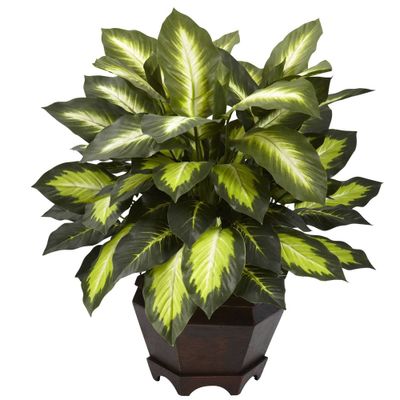 22 Artificial Triple Golden Dieffenbachia with Wood Vase - Nearly Natural