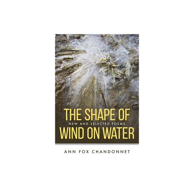 The Shape of Wind on Water - by Ann Fox Chandonnet (Paperback)