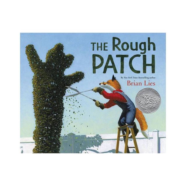 The Rough Patch - by Brian Lies (Hardcover)