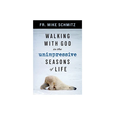 Walking with God in the Unimpressive Seasons of Life - by Mike Schmitz (Paperback)