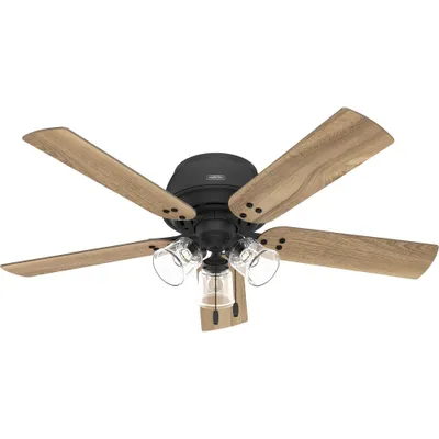 Hunter Fan 52 Shady Grove Low Profile Ceiling Fan with Light Kit and Pull Chain (Includes LED Light Bulb) : Energy-Efficient