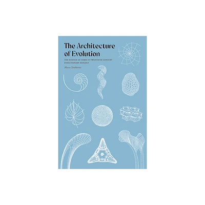 The Architecture of Evolution - by Marco Tamborini (Hardcover)