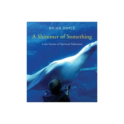 Shimmer of Something - by Brian Doyle (Paperback)