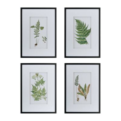 20 x 28 Botanical Fern Wall Art Black/White - A&B Home: Modern Nature-Inspired Decor, Vertical Layout, 4-Piece Set