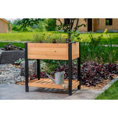 22x35 Rectangular Wood Mezza Herb Farm Wood Garden Bed Light Brown - Vita: Insect-Resistant