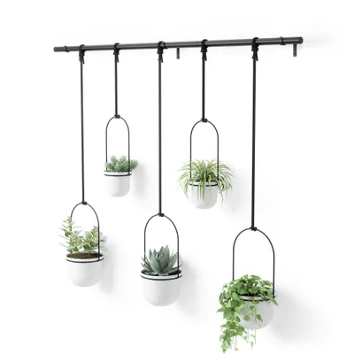 Umbra Triflora 5 Hanging Planter : Modern Steel Indoor Ceiling/Wall Mount, No Drainage Hole, 5 Pots