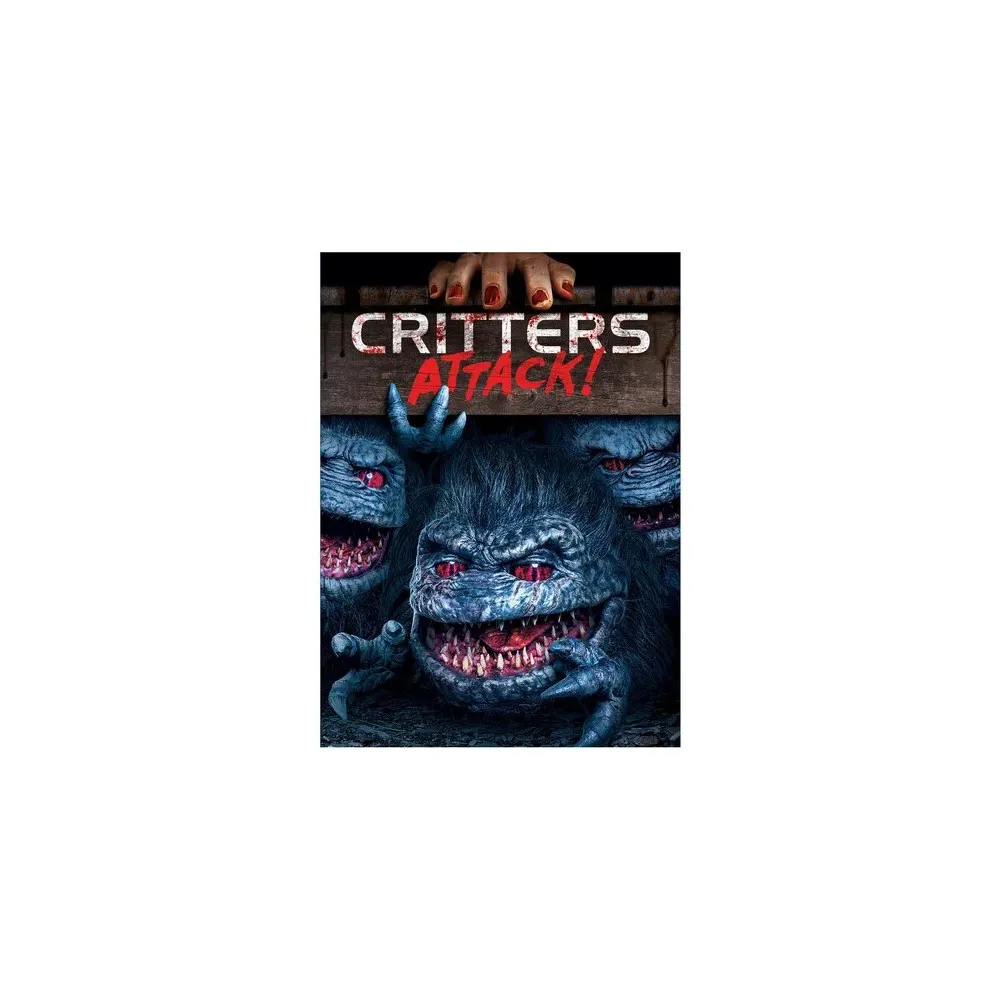 BBB4箱 DVDつき 容易く 