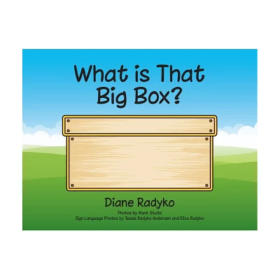 What is That Big Box? - by Diane Radyko (Paperback)