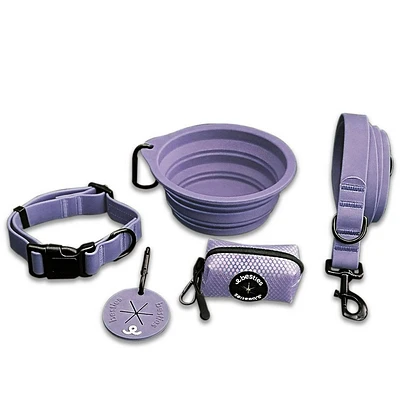 Besties Adventure Dog Leash Set - Light Purple - S - 5pk