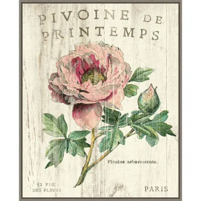 Amanti Art 23 x 28 Pivoine de Printemps by Sue Schlabach Framed Canvas Wall Art Print: Modern Lithograph, Polystyrene Frame