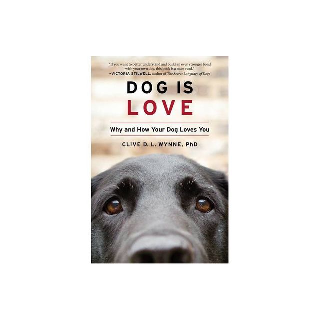 Dog Is Love - by Clive D L Wynne (Paperback)