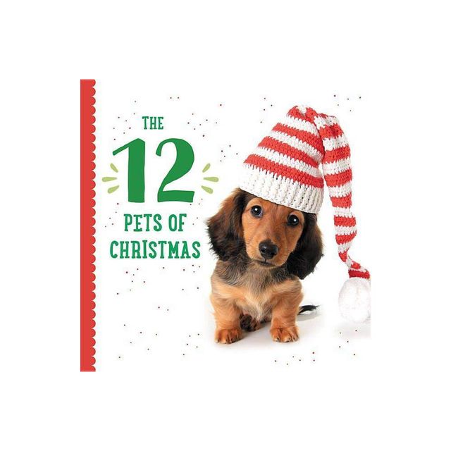 The 12 Pets of Christmas - (Celebrate the Season) by Taylor Garland (Board Book)