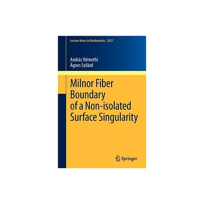 Milnor Fiber Boundary of a Non-Isolated Surface Singularity - (Lecture Notes in Mathematics) by Andrs Nmethi & gnes Szilrd (Paperback)