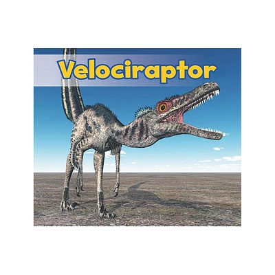 Velociraptor - (All about Dinosaurs) by Daniel Nunn (Paperback)