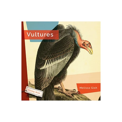 Vultures - by Melissa Gish (Paperback)