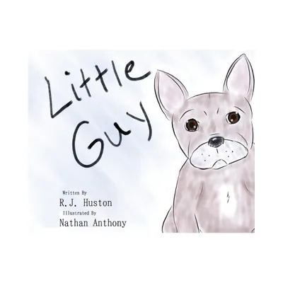 Little Guy - by Rj Huston (Hardcover)