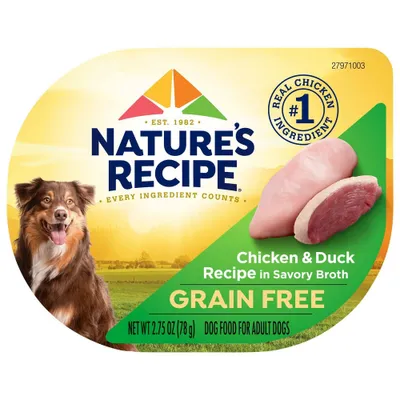 Natures Recipe Grain Free Chicken & Duck Wet Dog Food in Wholesome Broth - 2.75oz