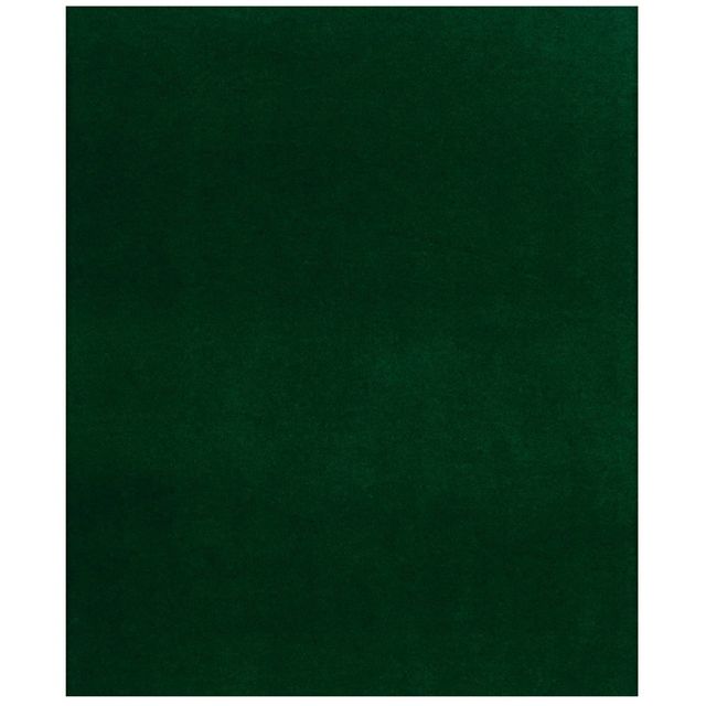 6 x 8 Dilour Indoor/Outdoor Rug Green - Foss Floors: PET Fiber, Fade & Water-Resistant, Easy Clean