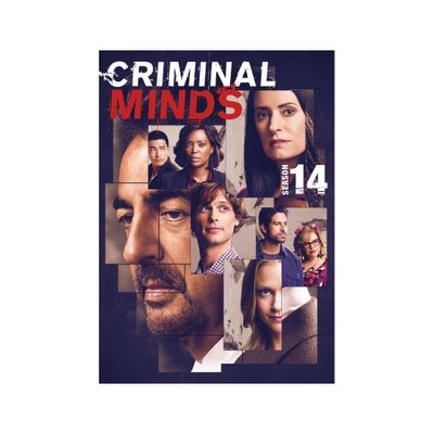 Criminal Minds: The Fourteenth Season (DVD)