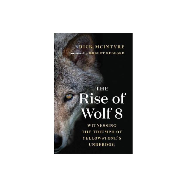 The Rise of Wolf 8 - (The Alpha Wolves of Yellowstone) by Rick McIntyre (Paperback)