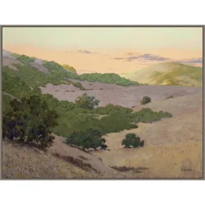 42 x 32 San Juan Bautista Hills by Ed Penniman Framed Canvas Wall Art Print - Amanti Art: Modern Lithograph, Polystyrene Frame