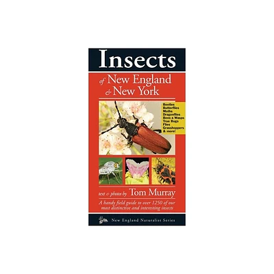 Insects of New England & New York - (Naturalist) by Tom Murray (Paperback)