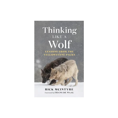 Thinking Like a Wolf - (The Alpha Wolves of Yellowstone) by Rick McIntyre (Hardcover)